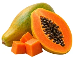 Paraxil — extracto de papaya